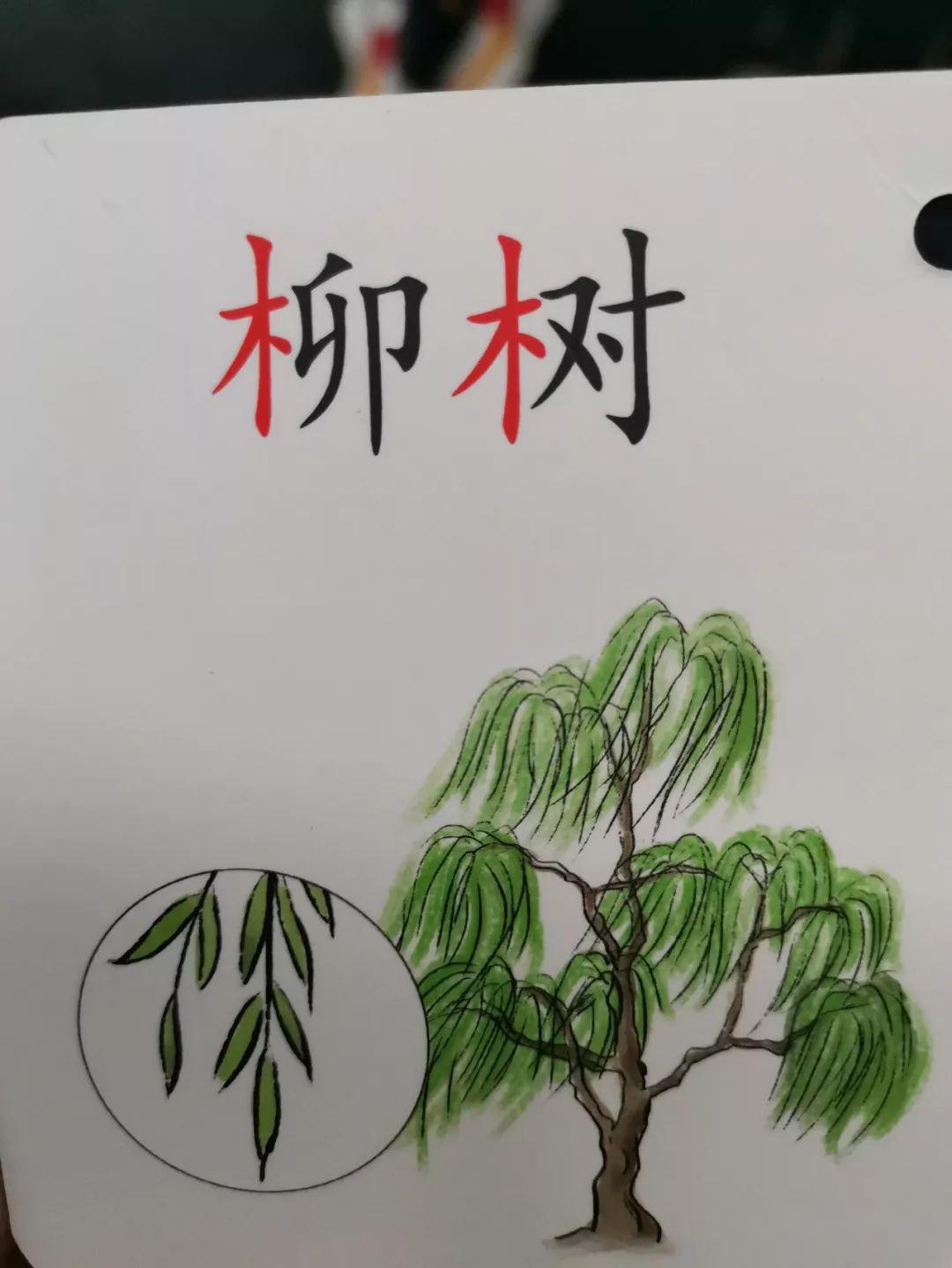 一位语文老师带着孩子的识字卡亲测结果欣喜强烈推荐汉字魔卡中华字课