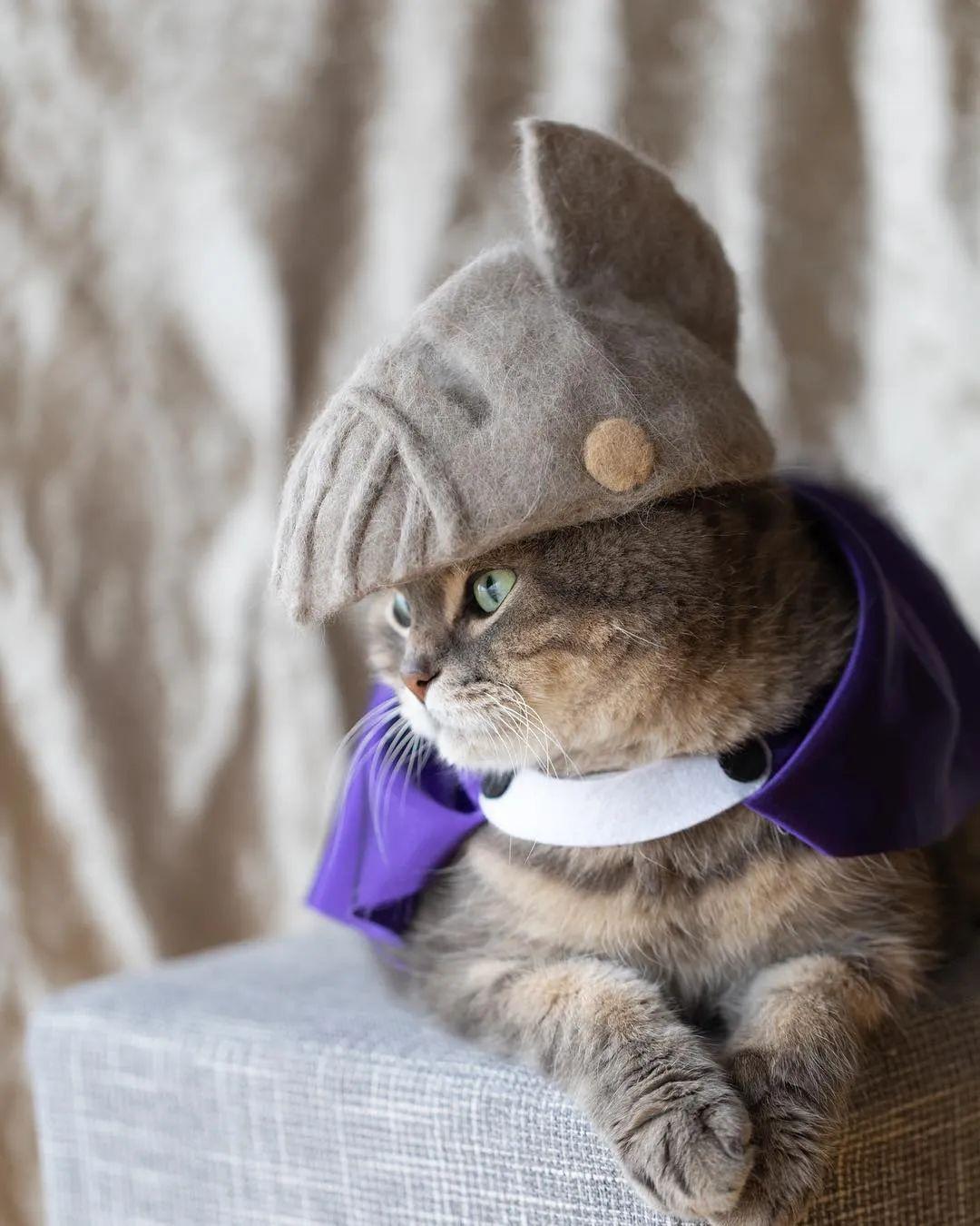 对铲屎官来说不可能的,光是给猫咪戴帽子就有一百种玩法!
