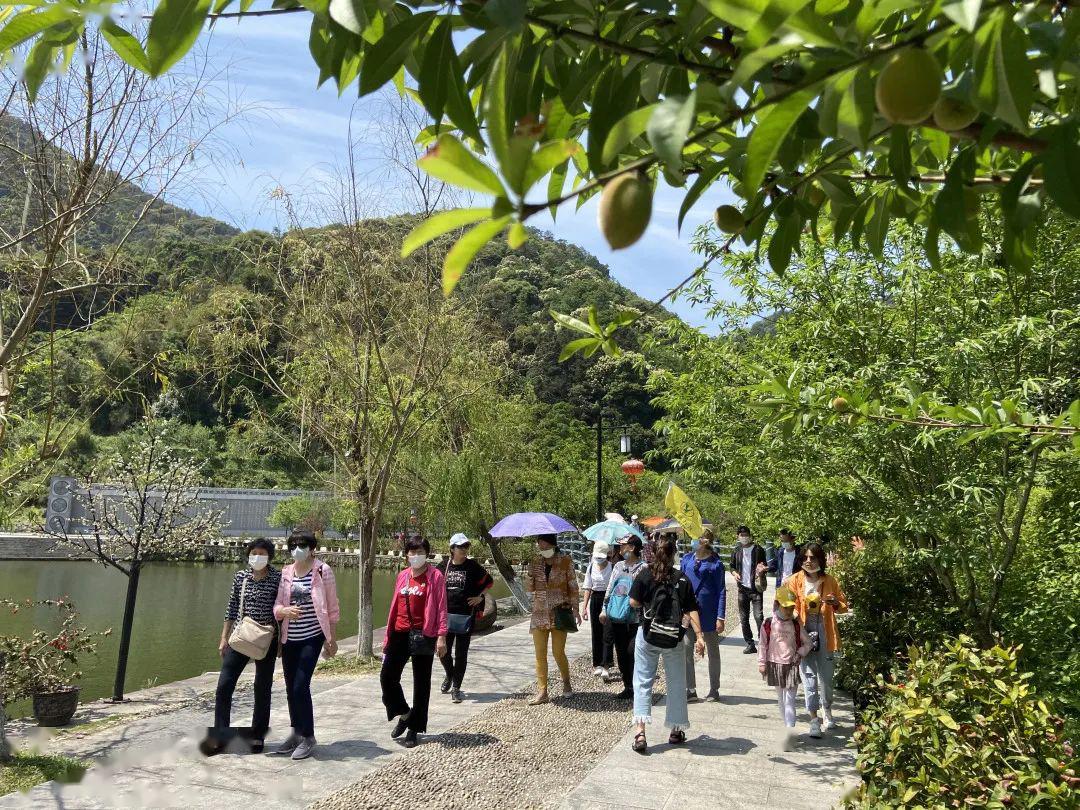 親近自然永春北溪文苑景區恢復開放後迎來第一個旅遊團