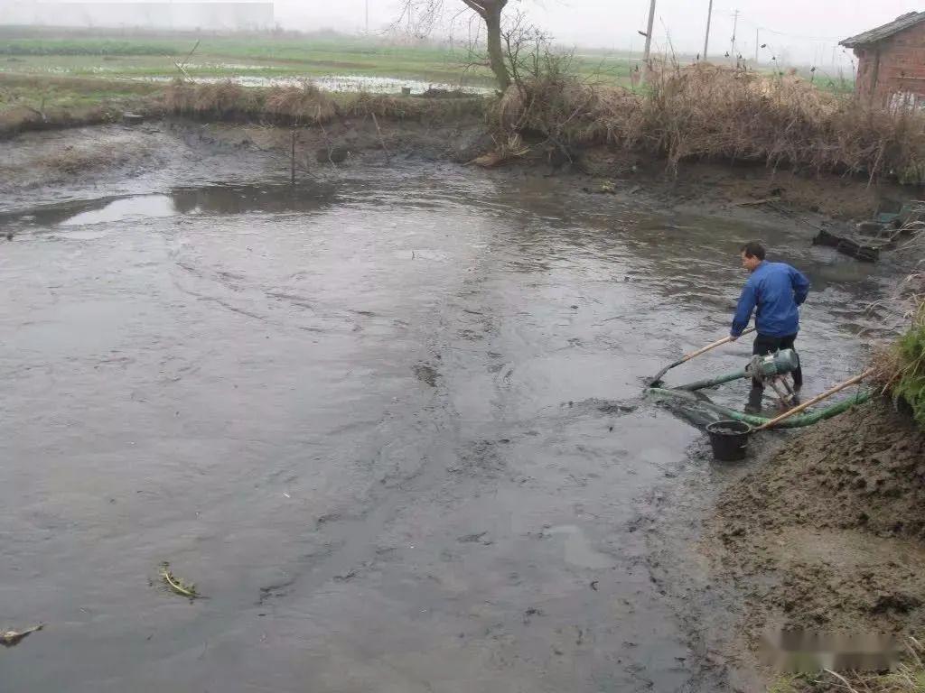 (底質不好,水質必然惡化)_淤泥