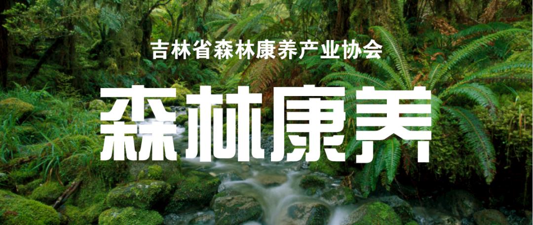 吉林省森林康养产业协会关于开展2020年度全国森林康养基地试点建设