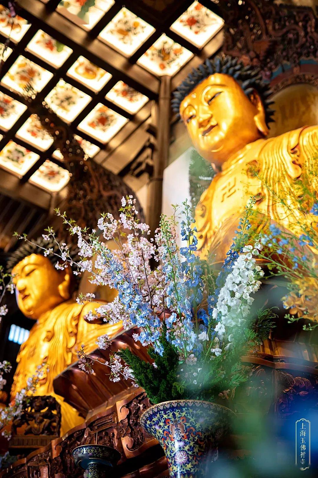 佛诞供花丨以香花供养庆贺佛诞愿见者欢喜勤修善法