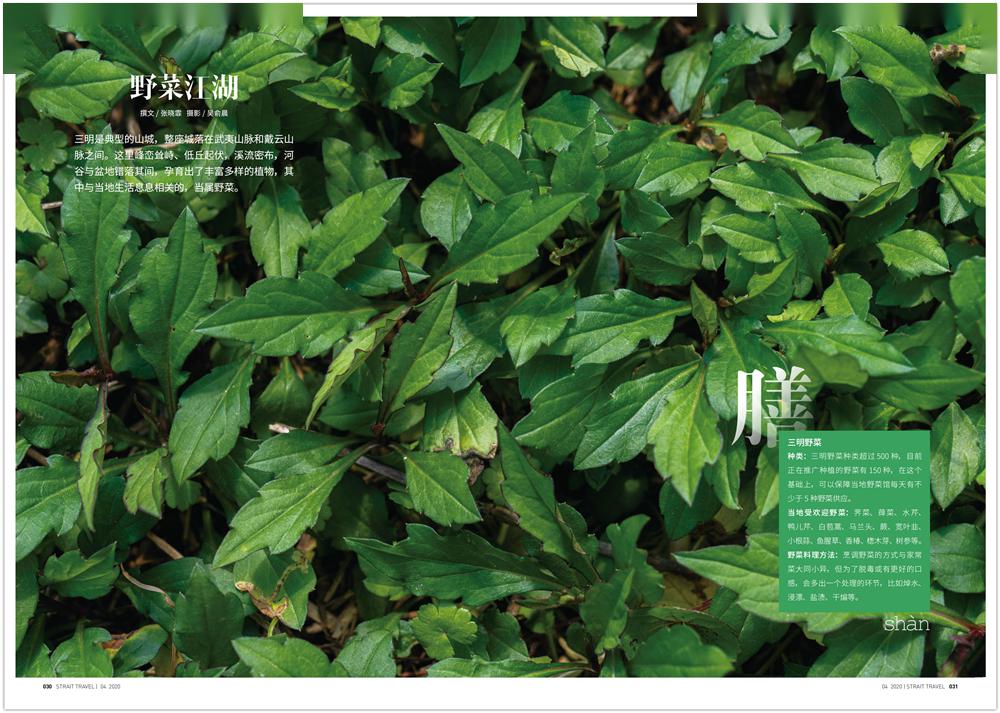 新刊预告福建最年轻的城市藏着迷人的山中烟火