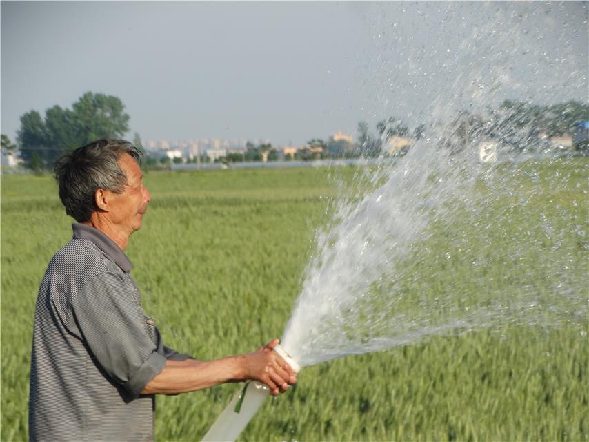 百万亩小麦喝上灌浆丰收水