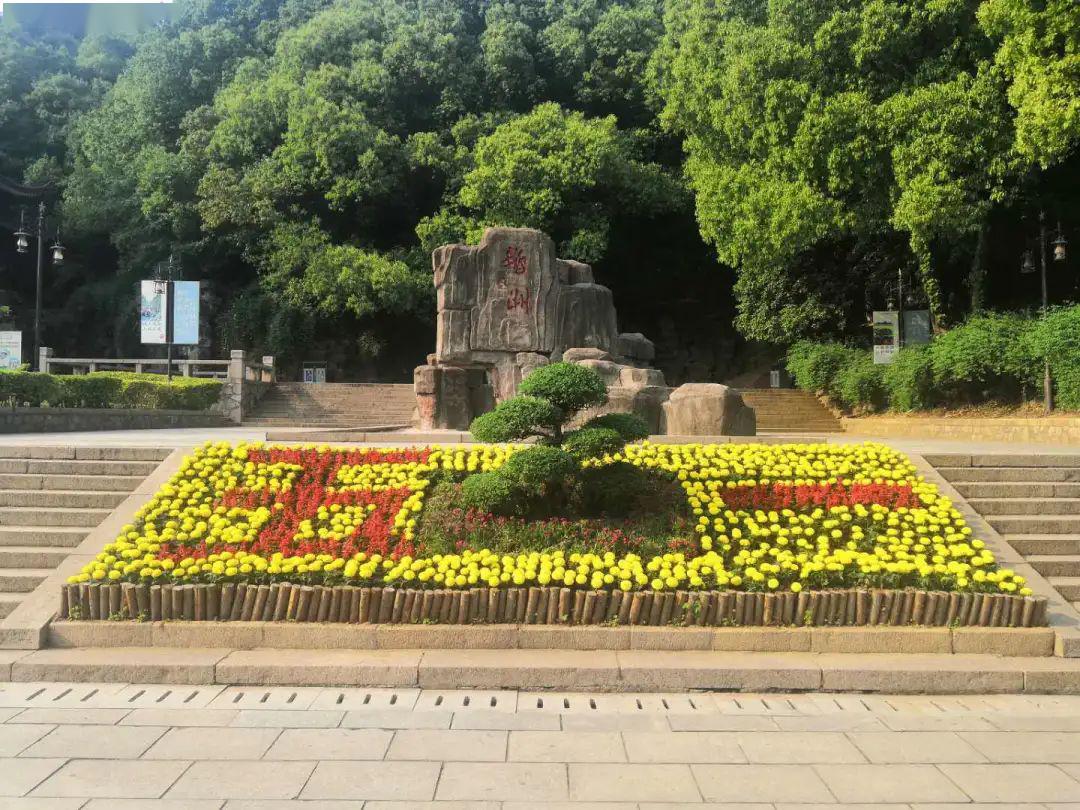 靓丽的暨阳城"五一"欢迎您来~_花卉