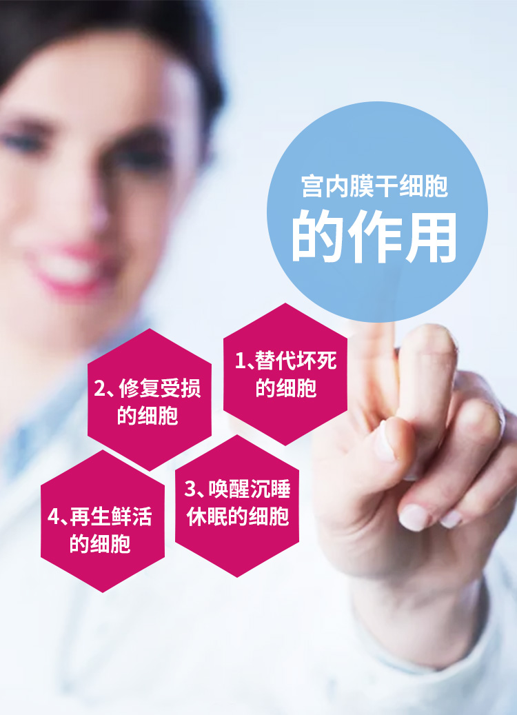 宫内膜干细胞丨8000条敏感神经和生殖系统修复女人一生最值得的投资