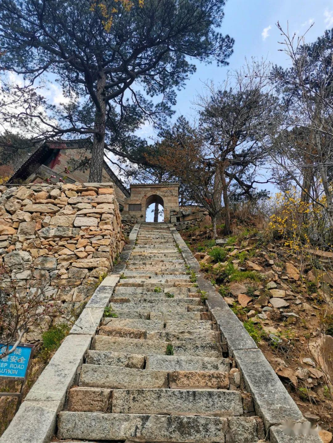 岱阴第一洞天后石坞:彩墨流韵露岱宗,松涛阵阵闻天籁_泰山