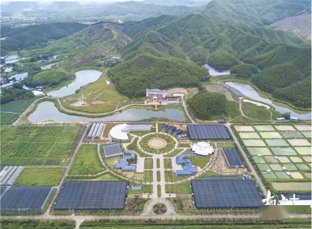 江门鱼菜共生基地位置图片