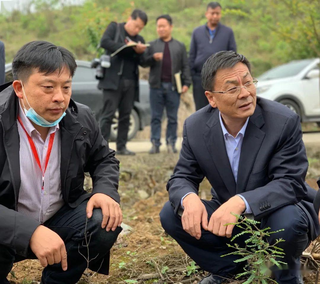 挂职干部王鹏朝为毕节脱贫攻坚奉献自己的力量