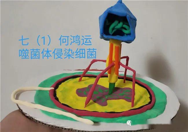 蒼梧校區舉辦生物模型創新制作大賽活動