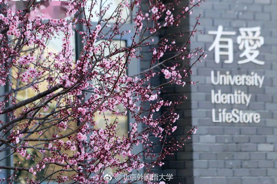 院校解析北京外国语大学院校串讲