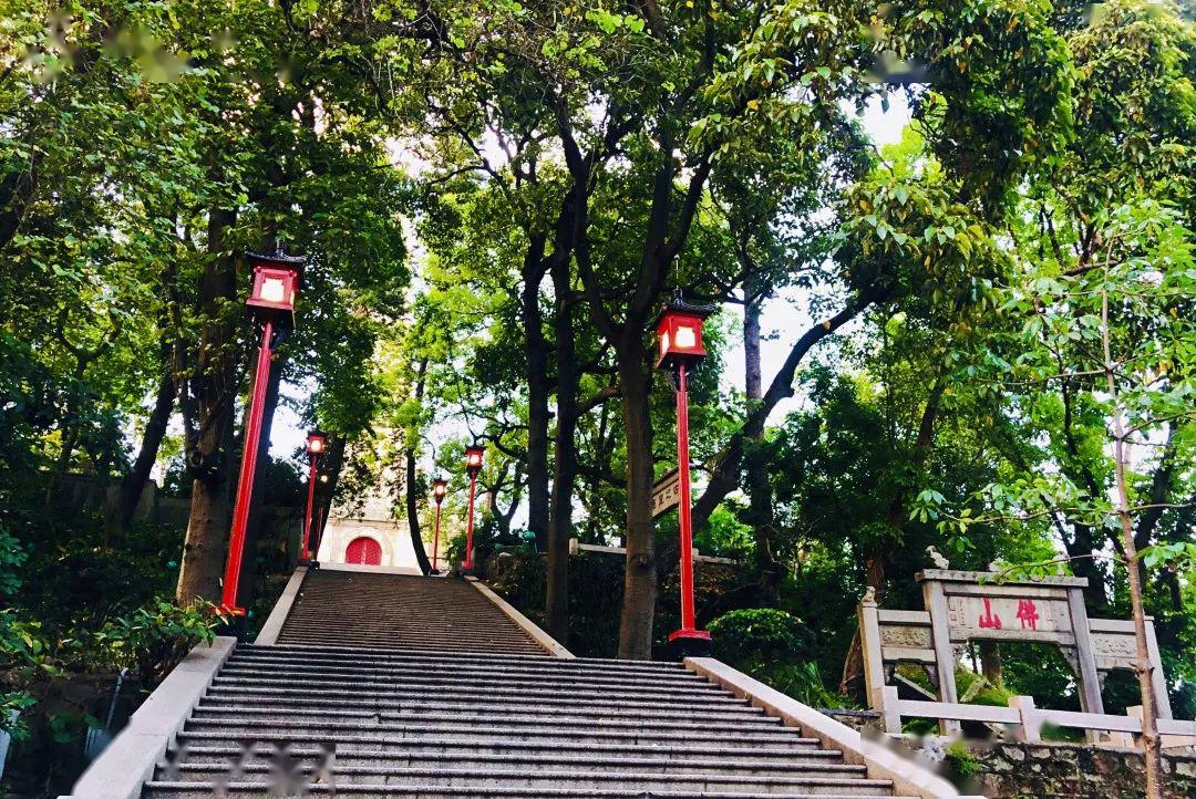 修复南门至百步梯的古灯,座椅,使古典文物焕发新光彩,与纪念堂的风格