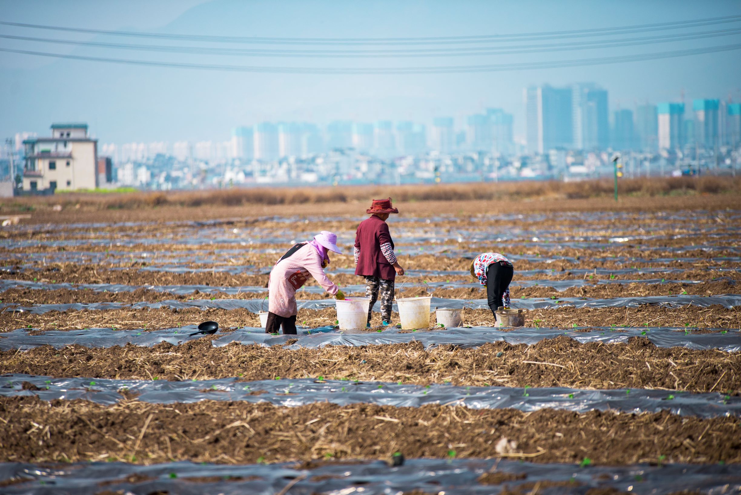 发展与村庄规划提升,城市发展相融合,实现农村生产生活生态"三生同步"