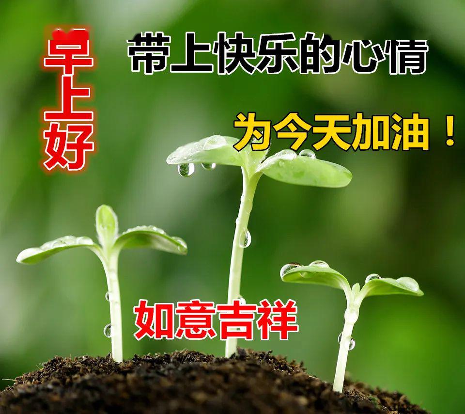 4月30日最新早上好特漂亮的動態祝福圖片