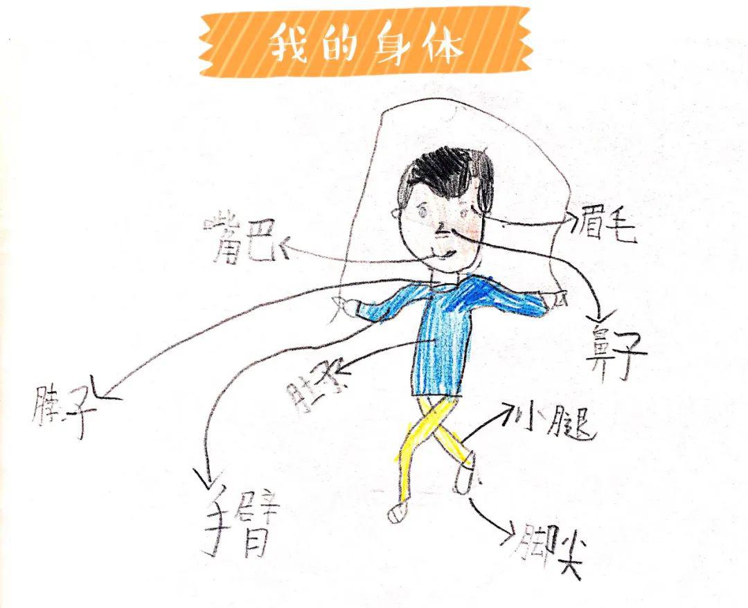 一年级王辰语语文学科思维导图专辑