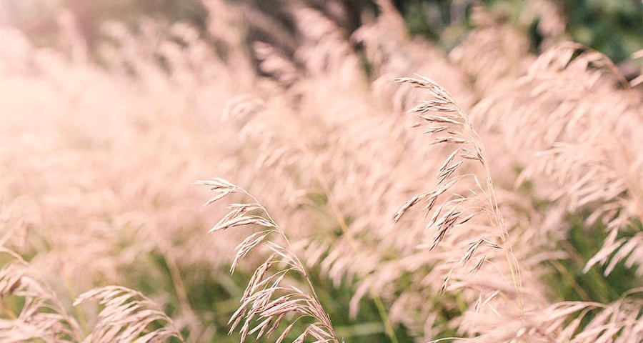 家电肉搏战线下全面开打,但五一黄金周只是预演!-家电圈官网