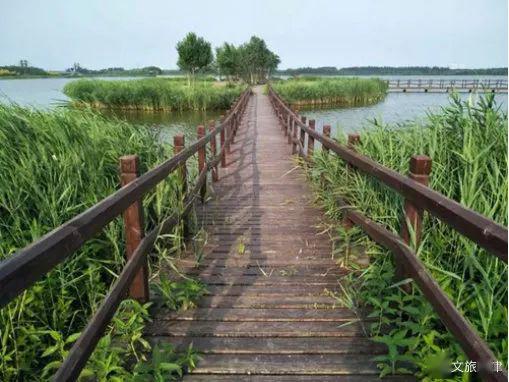 水西公園, 西青郊野公園, 武清郊野公園, 楊柳青莊園 ……天津已經有