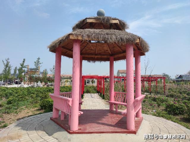 五一放假哪里去?虞城行知园——亲子农庄欢迎您