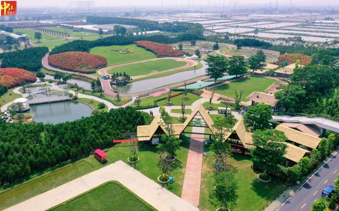 中山这三个公园全新开放!快带家人去逛逛_农业