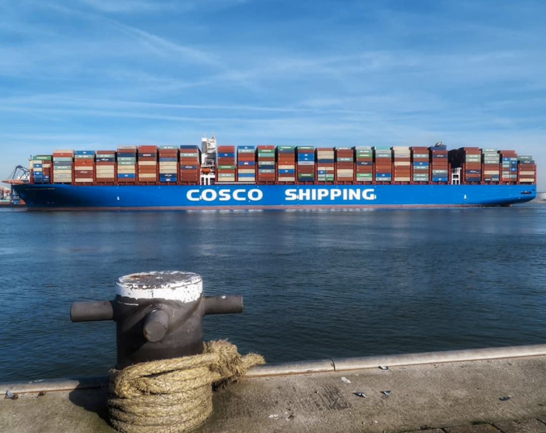 一文看懂中远海运系2020年一季度业绩都怎么样?_集装箱