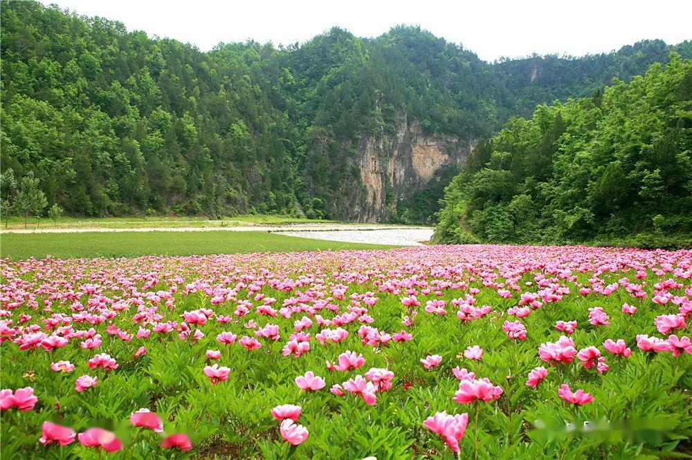 灵宝小九寨五一观赏山水自然风光的好去处