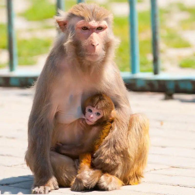 動物園五一快樂go