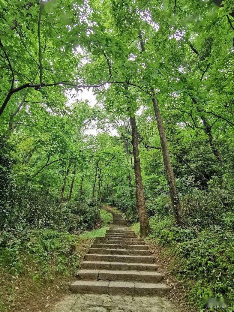 西湖群山是个宝带着古稀之年的爸妈一起爬山杭州网友实测这几条路线