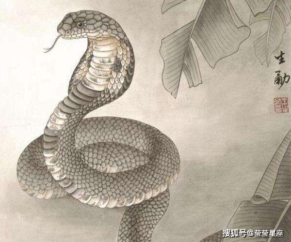 熬过4月生肖蛇苦尽甘来爱情事业双丰收日子富了