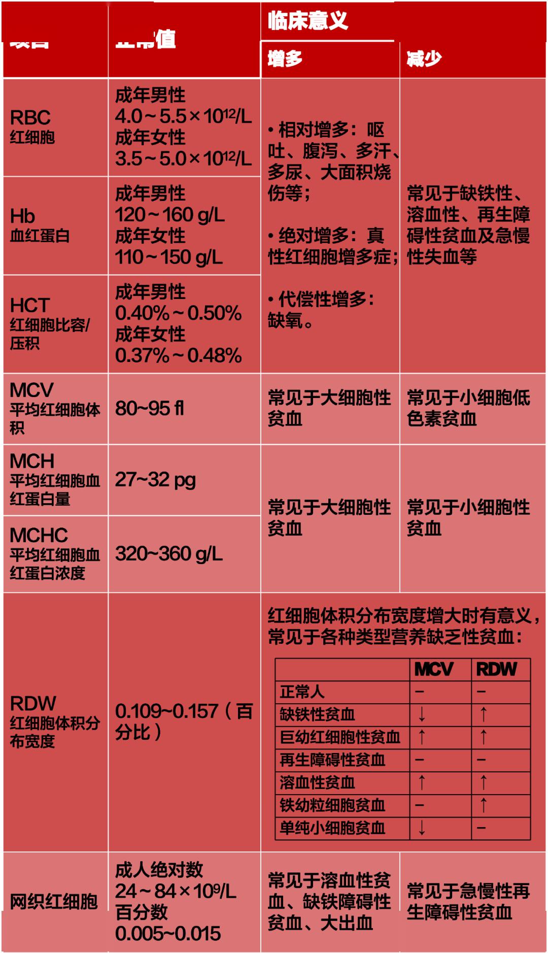 血常规怎么看图片