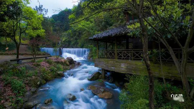 黃金水道,森林沐雨獨一無二天然