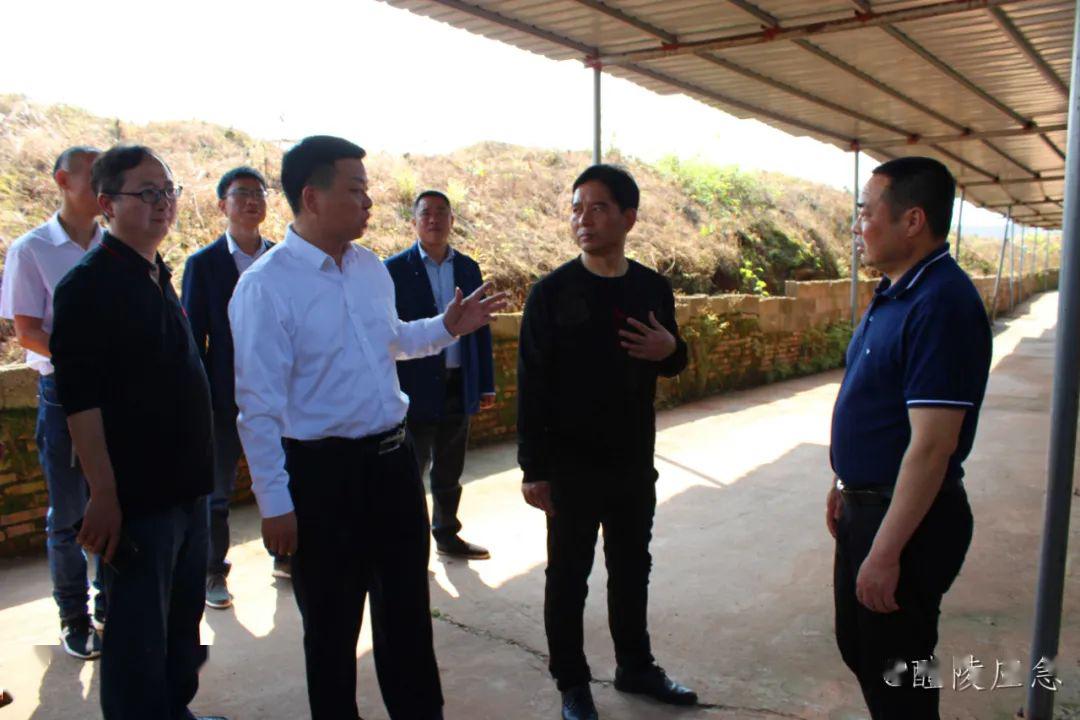 市委书记胡湘之督查安全生产强调务必时刻紧绷安全弦