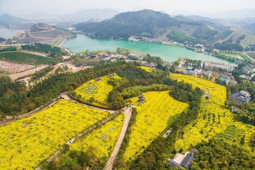 长兴县和平镇全域整治和兴花苑项目土地地质勘察项目服务招标公告