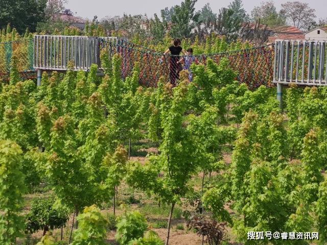 五一放假哪里去?虞城行知园——亲子农庄欢迎您