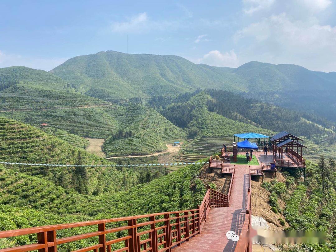 医护人员免费领取鸟王山景区票大爱无疆公益活动惊喜尖叫