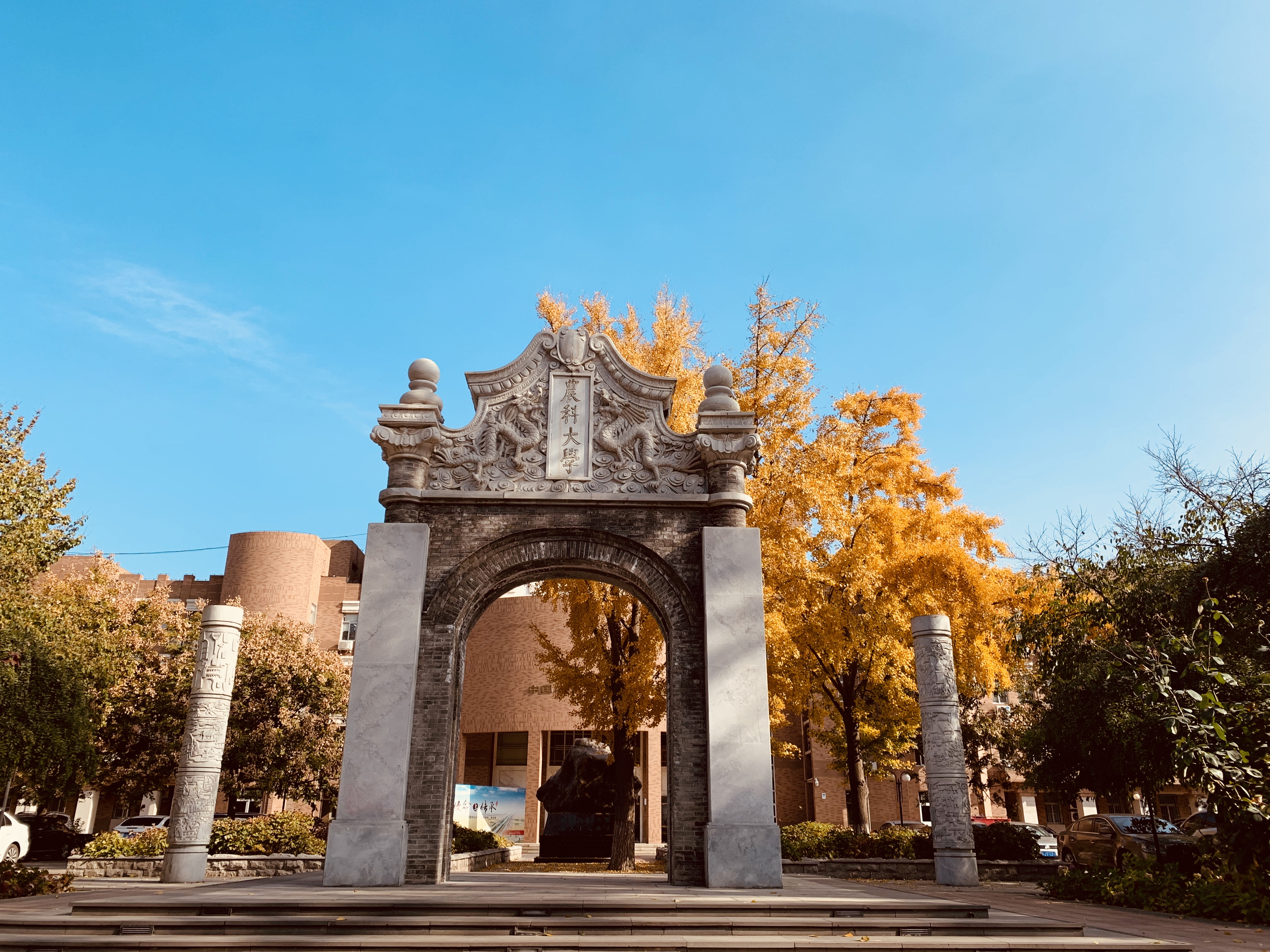 中国农业大学校园风光图片