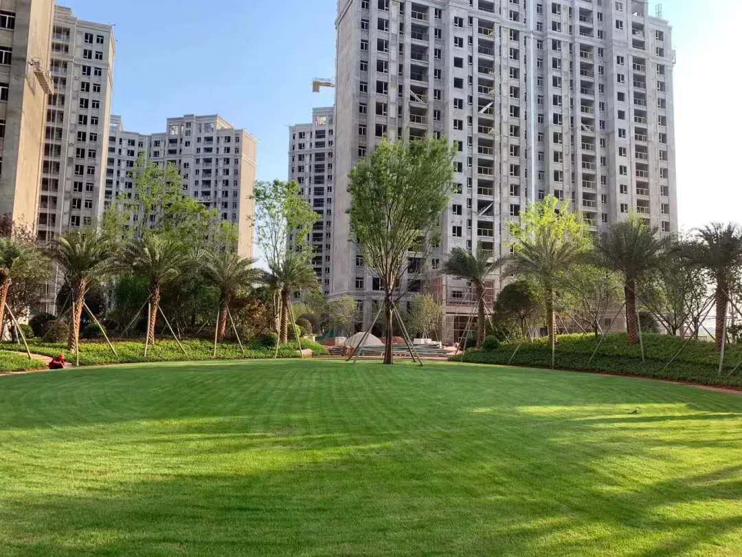 丰城楼市,热_金马