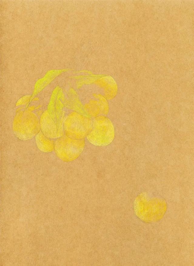 彩铅教程日啖荔枝三百颗不辞长作岭南人