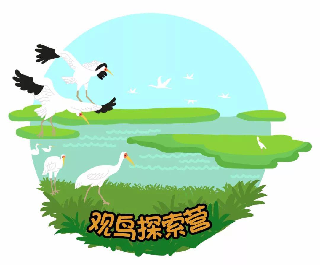 人在画中行做一回"寻鸟者",听鸟语,寻鸟影,观鸟食,▼△开始一段浪漫的