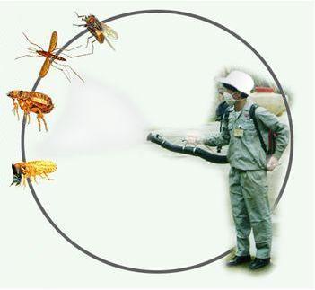 居家环境的蚊子消杀小贴士拒绝与它们同居生活