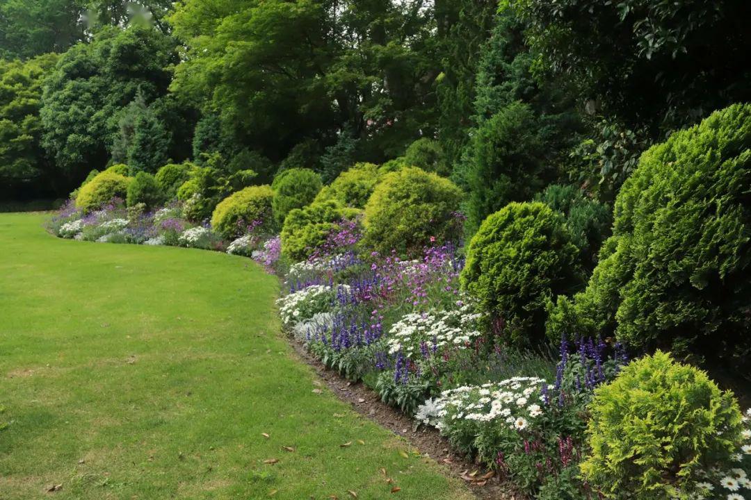 四大花境燃力冲天五一来岳庙赏靓丽缤纷