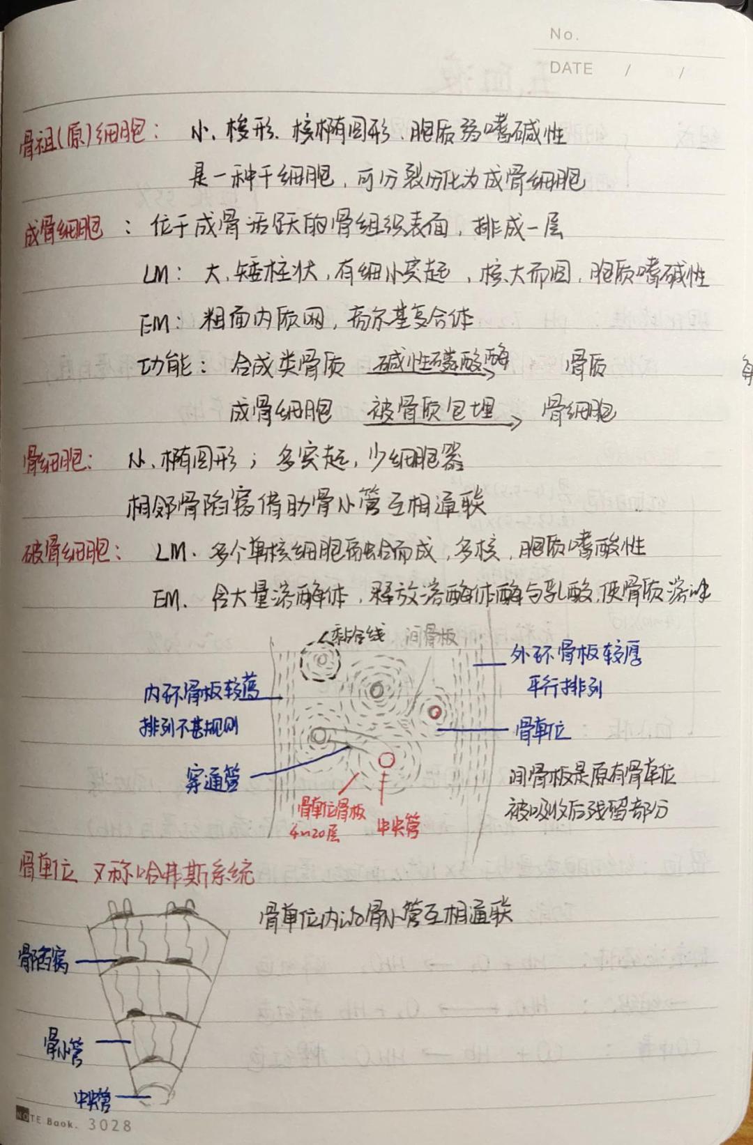 医笔医画绘青春nmu医学生最美笔记作品评选第一期