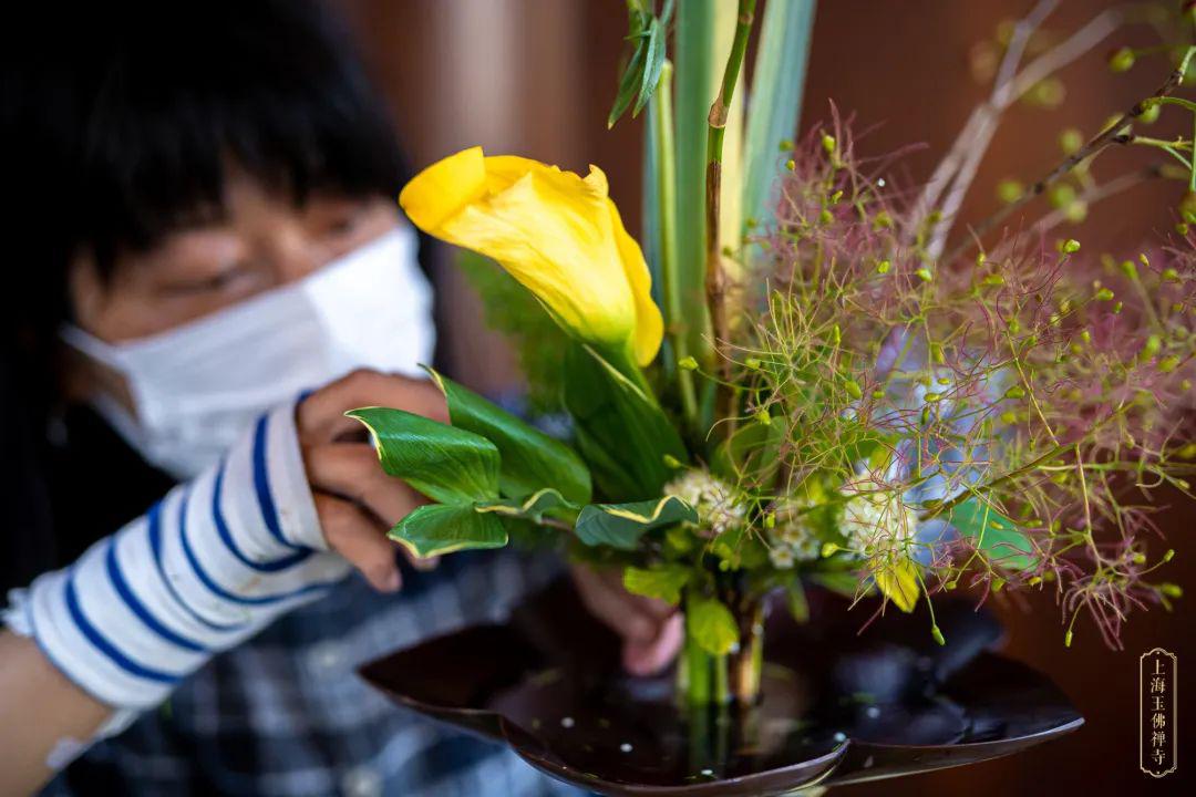 佛诞供花丨以香花供养庆贺佛诞愿见者欢喜勤修善法