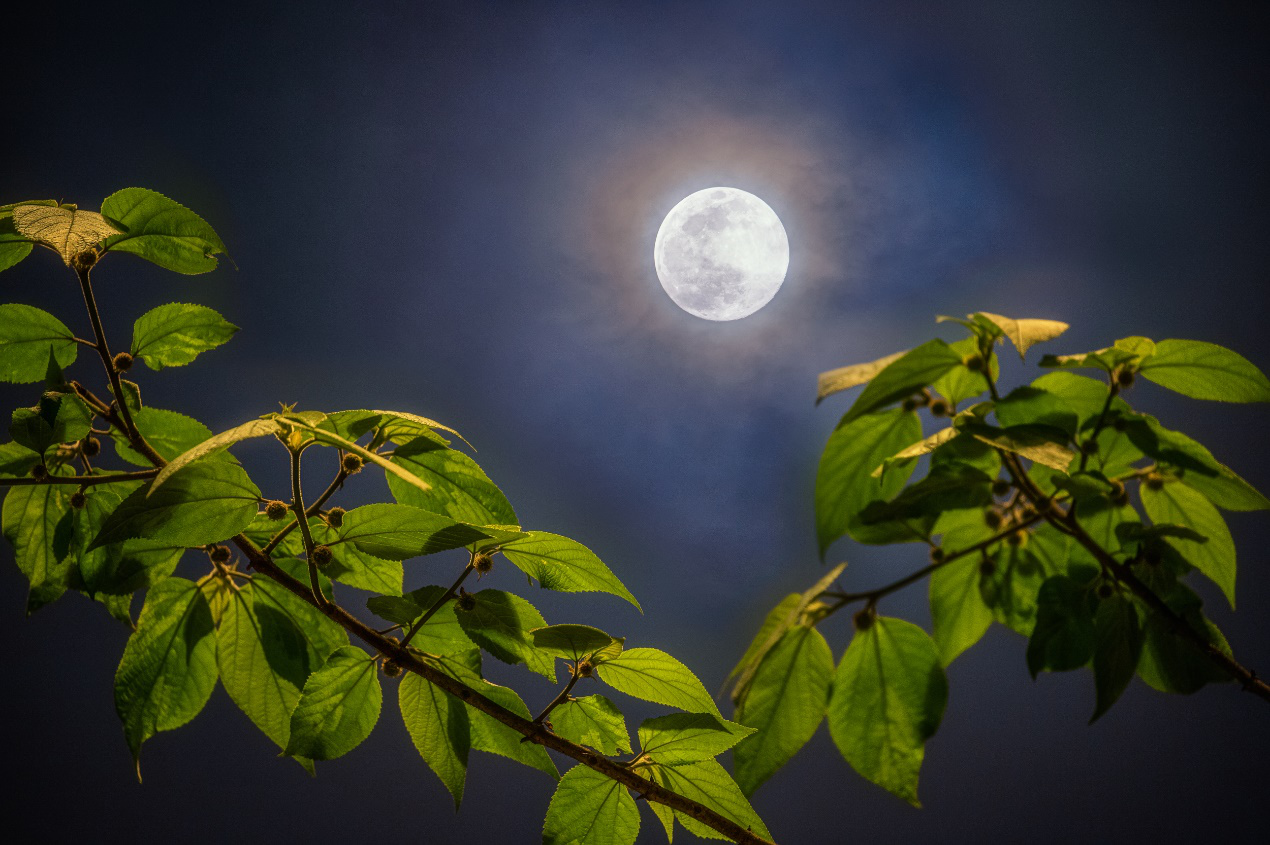 月是今夜明!佳能大影家邀你一起pick心中的超级月亮