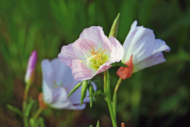 640_429gif 动态图 动图