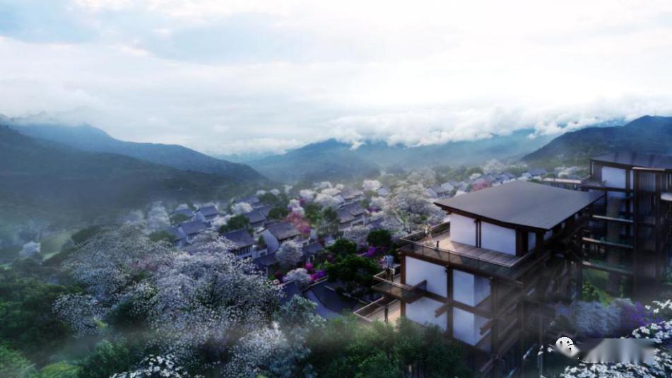 项目概况坐拥奢华别院一览梨乡花海汉/源/九/襄梨乡山居想要田园生活