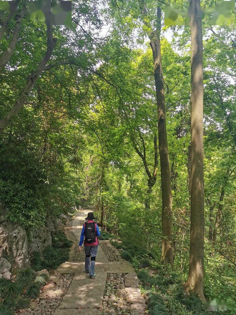 西湖群山是个宝带着古稀之年的爸妈一起爬山杭州网友实测这几条路线