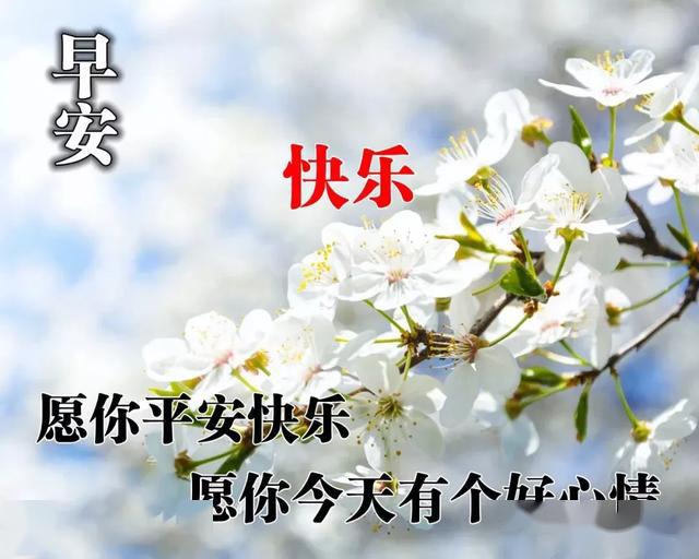 新的五月早上好圖片大全祝福語 早上好圖片可愛表情包