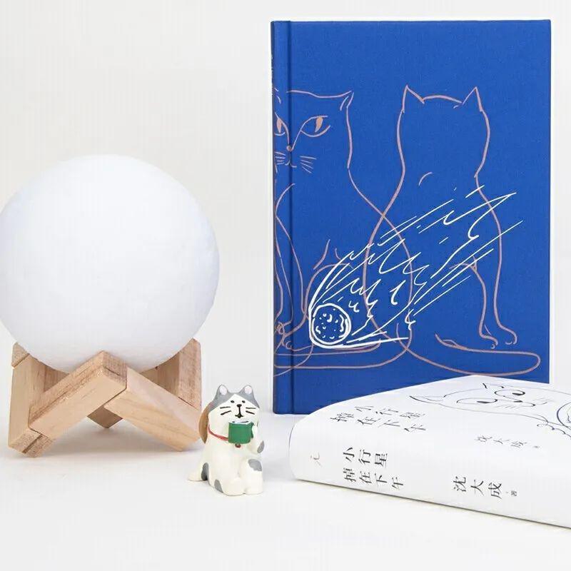 【书香海安·新书推荐】《小行星掉在下午》_沈大成