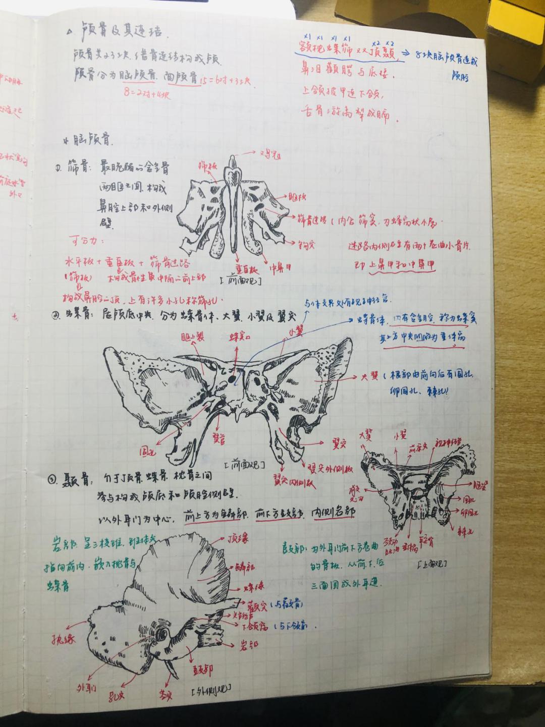 医笔医画绘青春nmu医学生最美笔记作品评选第一期