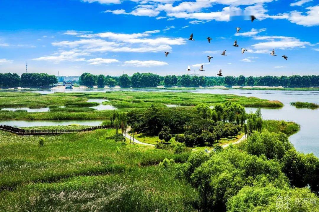 五一小长假来了江苏版自然生态轻旅游攻略已上线宝应湖国家湿地公园在